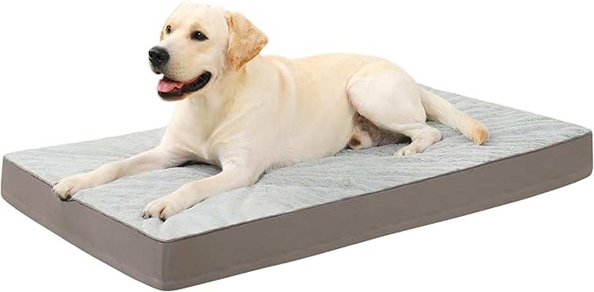 orthopedic dog bed with egg crate foam