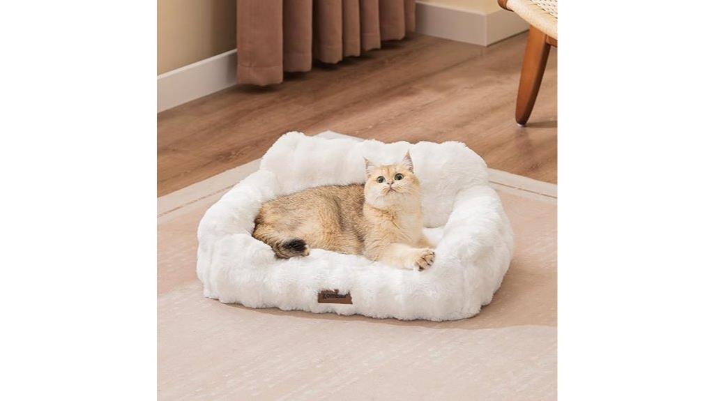pet orthopedic feline bed