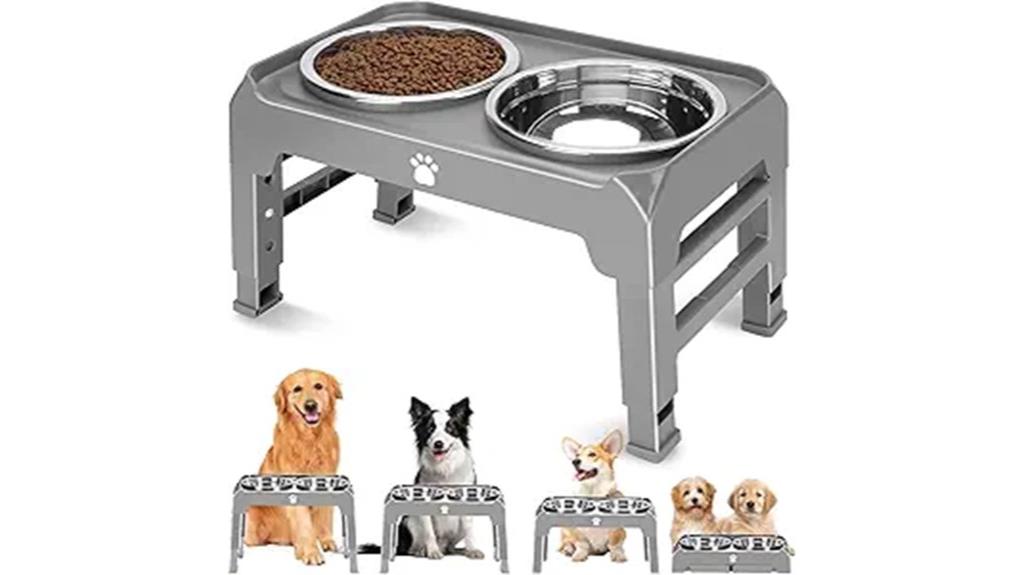 raised stainless steel pet feeder