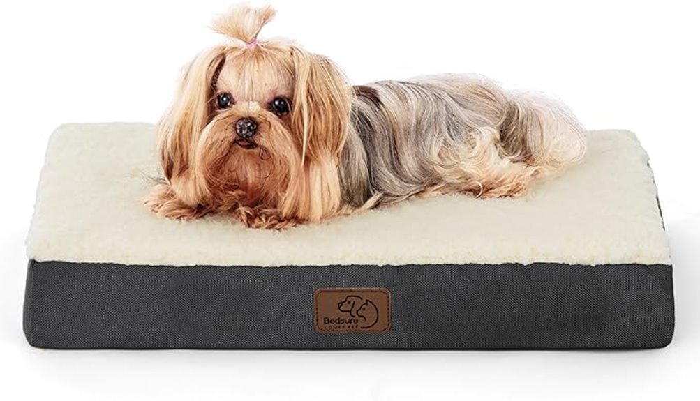 small dog orthopedic bed