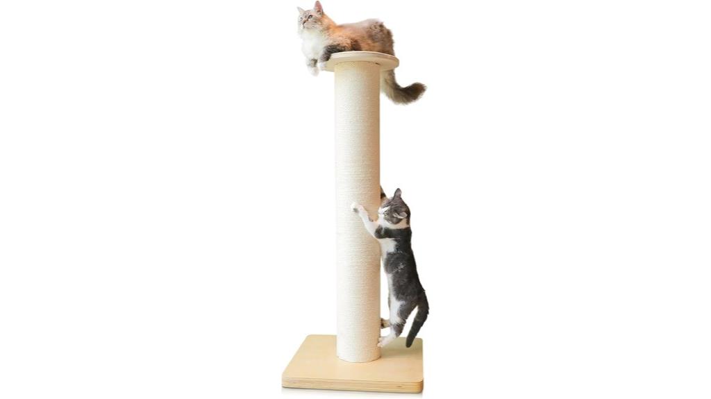 tall maine coon scratching post