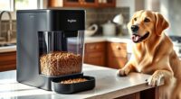 top automatic pet feeder reviews