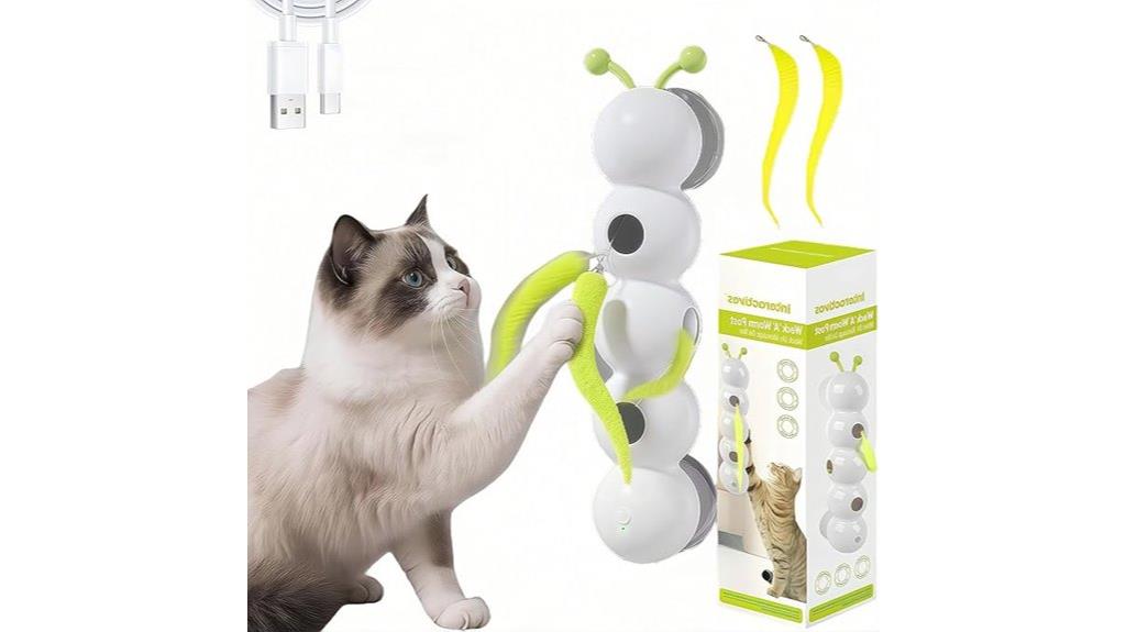 wall mounted rechargeable cat toy