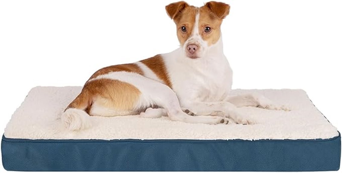 waterproof orthopedic dog mat