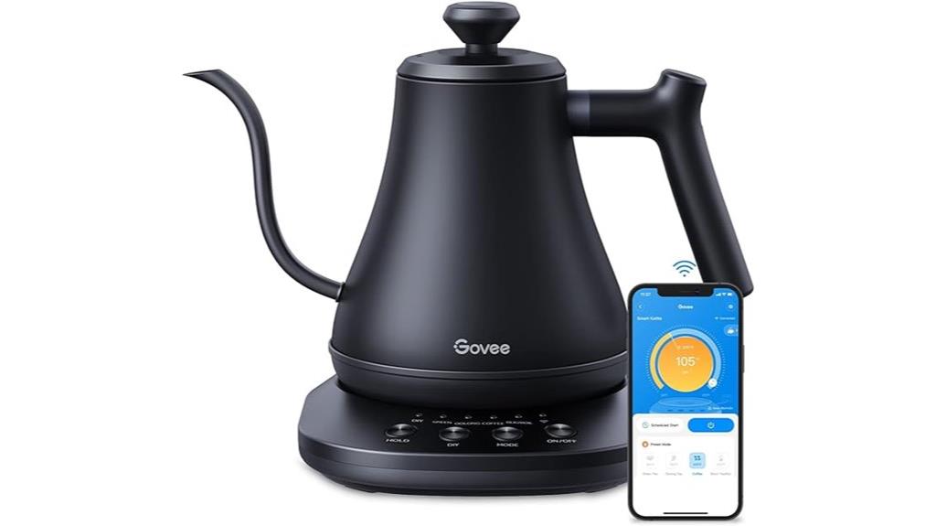 wifi alexa electric kettle