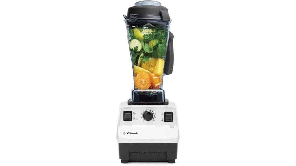 professional blender for kitchens