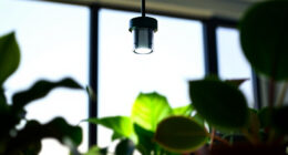 1 Best Indoor Grow Lights for Houseplants in 2026