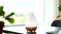 10 Best Aromatherapy Diffusers For Large Rooms In 2026