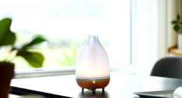 10 Best Aromatherapy Diffusers For Large Rooms In 2026