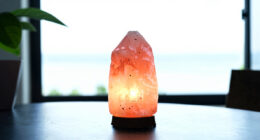 10 Best Himalayan Salt Lamps in 2026