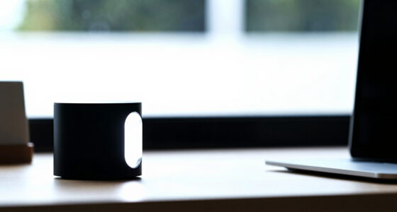 10 Best Motivational Desk Decor in 2026
