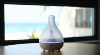 11 Best Nebulizing Essential Oil Diffusers in 2026