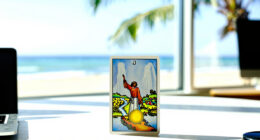11 Best Oracle Card Decks in 2026 — The Ultimate Guide