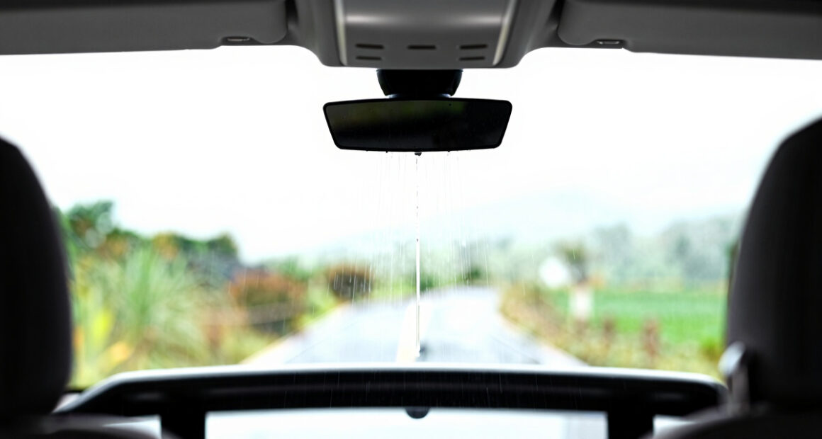 11 Best Rainfall Shower Heads in 2026