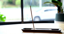 2 Best Best Premium Incense Holders in 2026