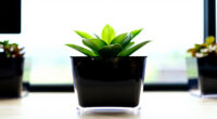4 Best Smart Planters in 2026