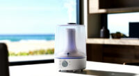 5 Best Best Premium Humidifiers in 2026