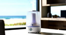 5 Best Best Premium Humidifiers in 2026