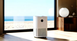 7 Best Air Purifiers for Meditation Rooms in 2026