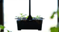 7 Best Indoor Herb Garden Kits in 2026