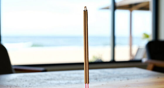 8 Best Best Incense Sticks Gift Sets in 2026