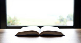 9 Best Book Lights for Night Reading in 2026