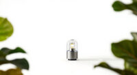 9 Best Daylight Lamps for Mood in 2026