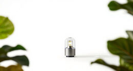 9 Best Daylight Lamps for Mood in 2026