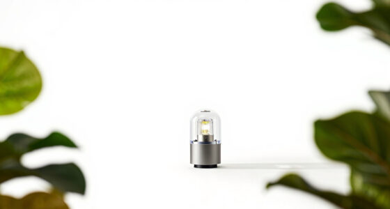 9 Best Daylight Lamps for Mood in 2026