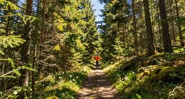 benefits of outdoor exposure