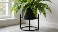 elevate and display plants