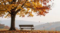 embrace change through transition