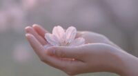 gentleness is a strength