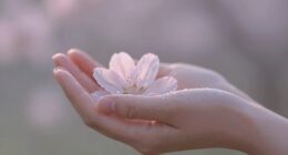 gentleness is a strength
