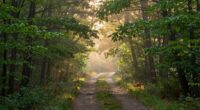 importance of spiritual judgment