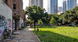 inequality in opportunity distribution