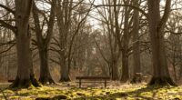 initial discomfort with silence
