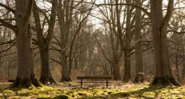 initial discomfort with silence