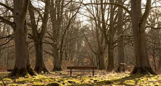 initial discomfort with silence