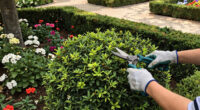 Vatican Gardens Offer A Refuge Of Marian Spirituality